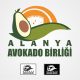 Avokado Logo Çalışması - Alanya Avakoda Birliği
